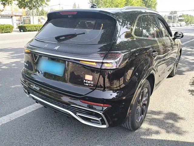 Hongqi HS5 — Фото автомобиля 6