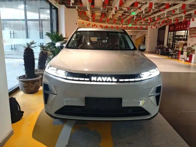 Haval Xiaolong MAX — Фото автомобиля 2