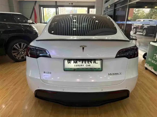 Tesla Model Y — Фото автомобиля 13