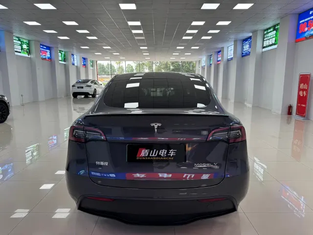 Tesla Model Y — Фото автомобиля 5