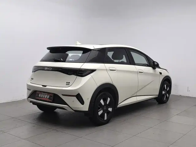 BYD Dolphin — Фото автомобиля 2