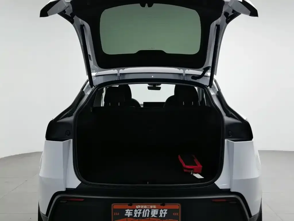 Tesla Model Y 2025 Facelift Long Range All-Wheel Drive — Фото автомобиля 16