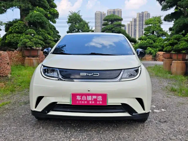 BYD Dolphin — Фото автомобиля 2