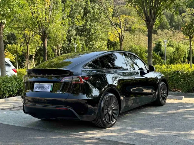 Tesla Model Y — Фото автомобиля 4