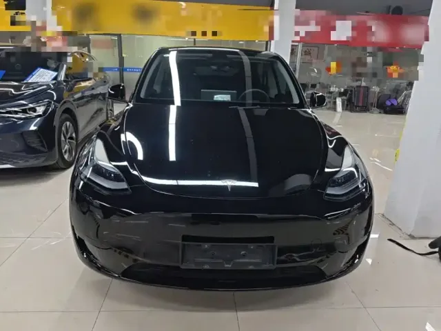 Tesla Model Y — Фото автомобиля 2
