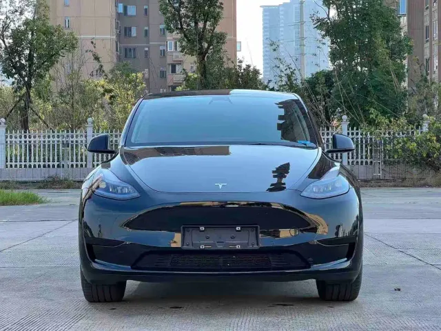 Tesla Model Y — Фото автомобиля 2