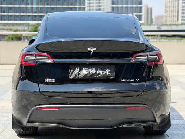 Tesla Model Y — Фото автомобиля 4