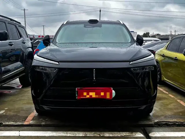 Wey Lanshan — Фото автомобиля 2