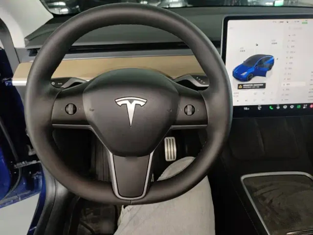 Tesla Model Y 2021 Performance High-Performance AWD — Фото автомобиля 10