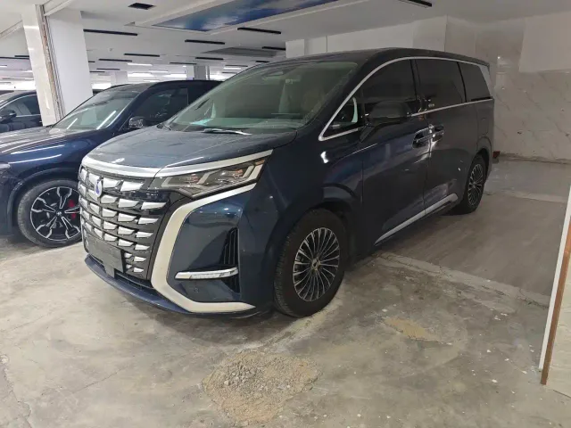 Фотография автомобиля — Denza D9