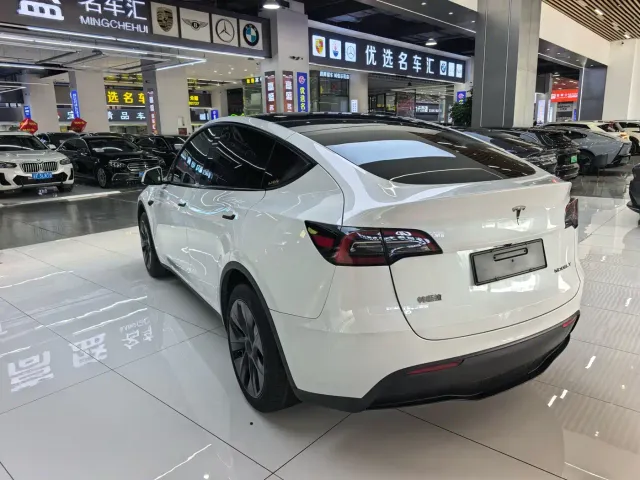 Tesla Model Y — Фото автомобиля 15