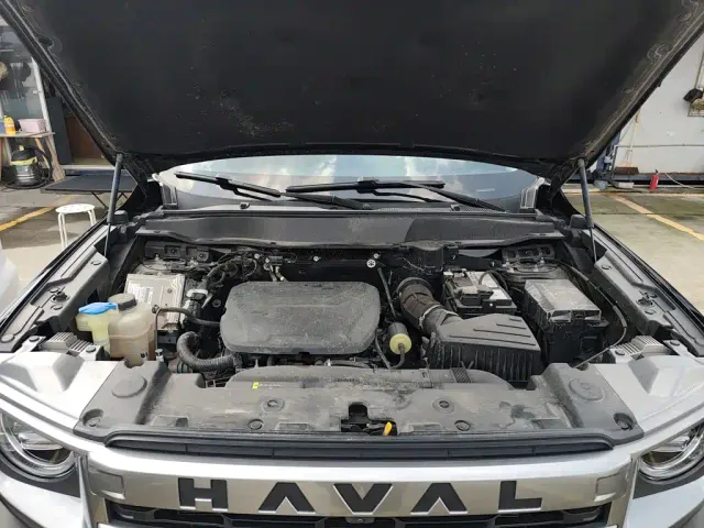 Haval Big Dog — Фото автомобиля 19