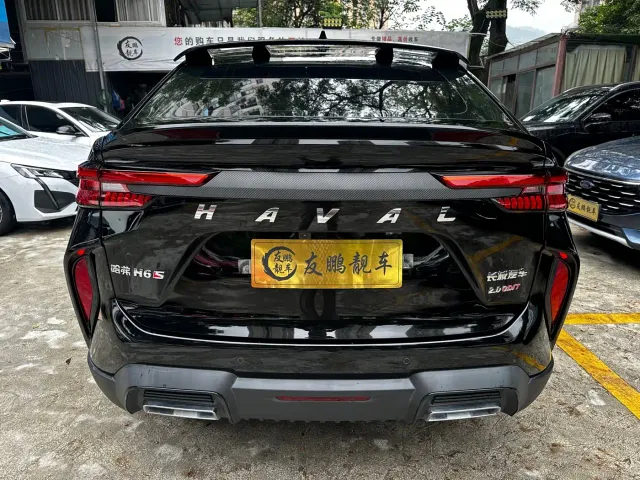 Haval H6S — Фото автомобиля 16