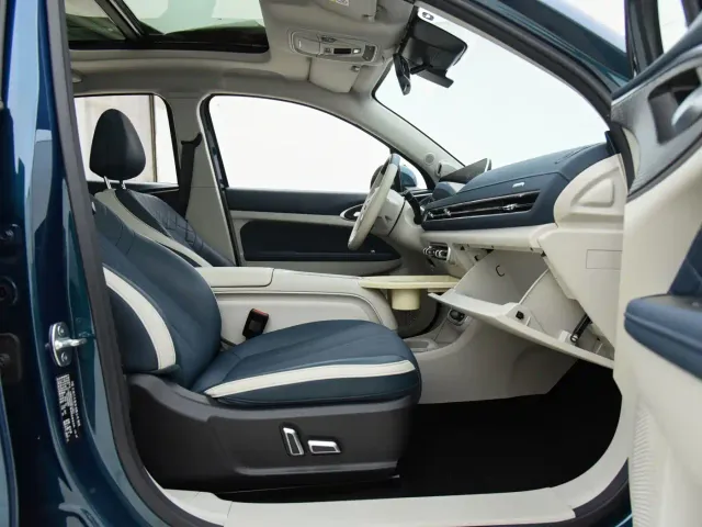 Ora Ora Good Cat 2024 501km Premium — Фото автомобиля 16