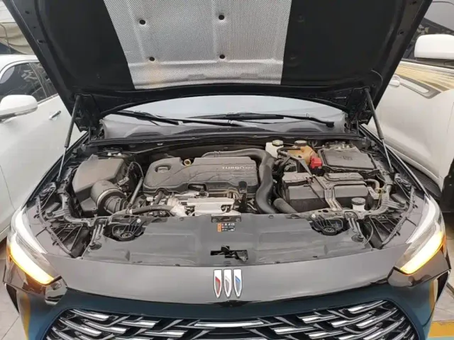 Buick Regal — Фото автомобиля 19