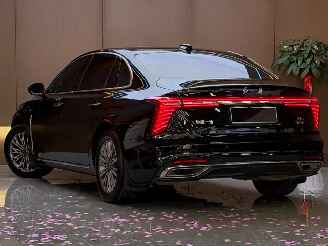 Hongqi H5 — Фото автомобиля 18