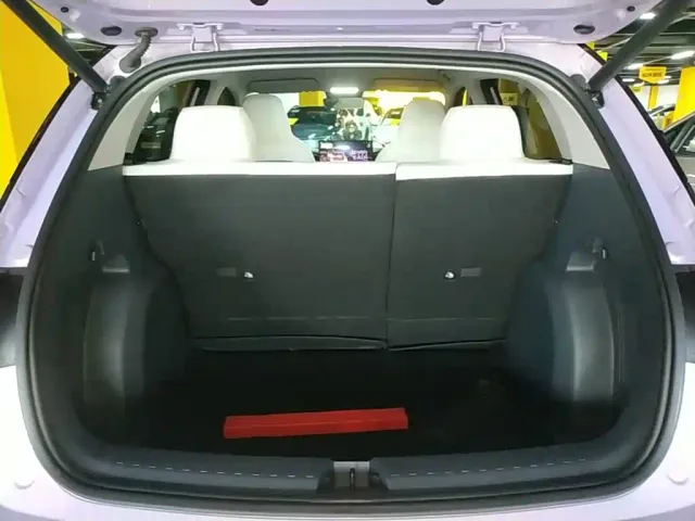 Geely Starry Wish — Фото автомобиля 18