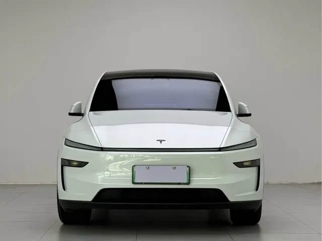 Tesla Model Y — Фото автомобиля 2