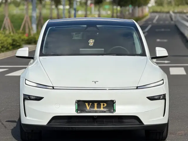 Tesla Model Y — Фото автомобиля 2