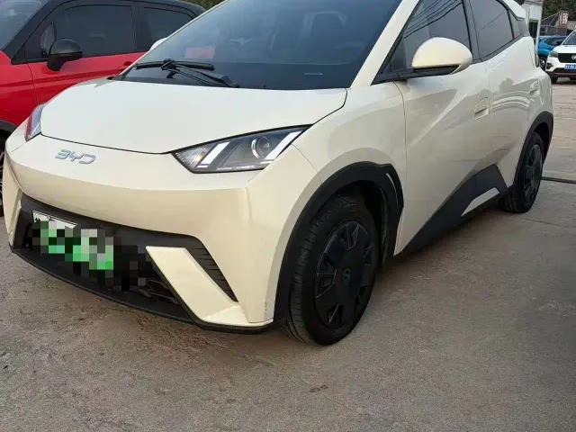 Фотография автомобиля — BYD Seagull