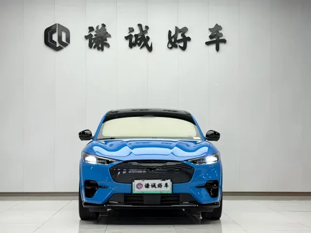 Ford Mustang Mach-E — Фото автомобиля 2