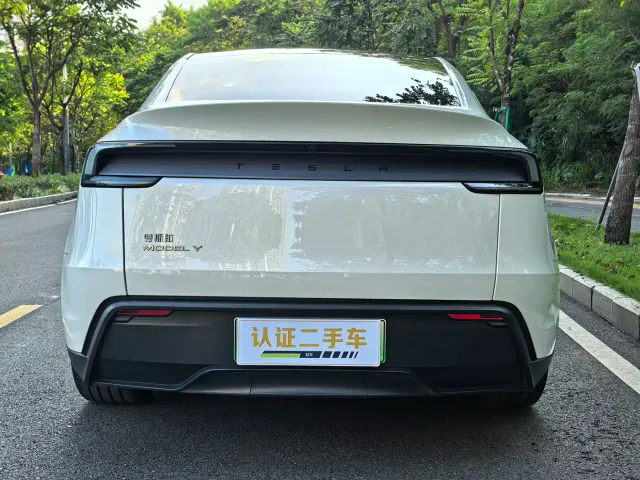 Tesla Model Y — Фото автомобиля 7