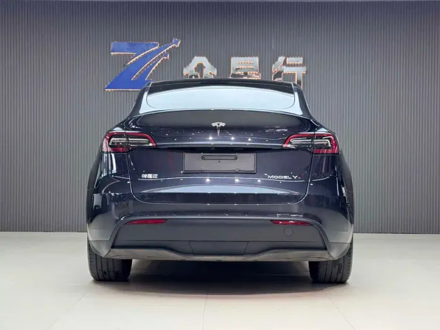 Tesla Model Y — Фото автомобиля 4