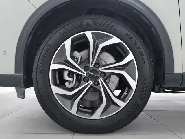 Haval Xiaolong MAX — Фото автомобиля 17