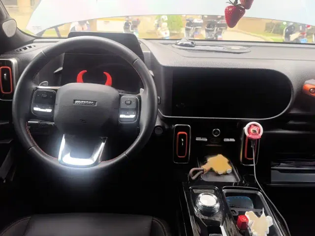 Haval Big Dog — Фото автомобиля 12