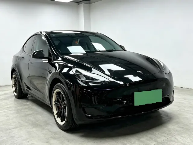 Tesla Model Y — Фото автомобиля 3