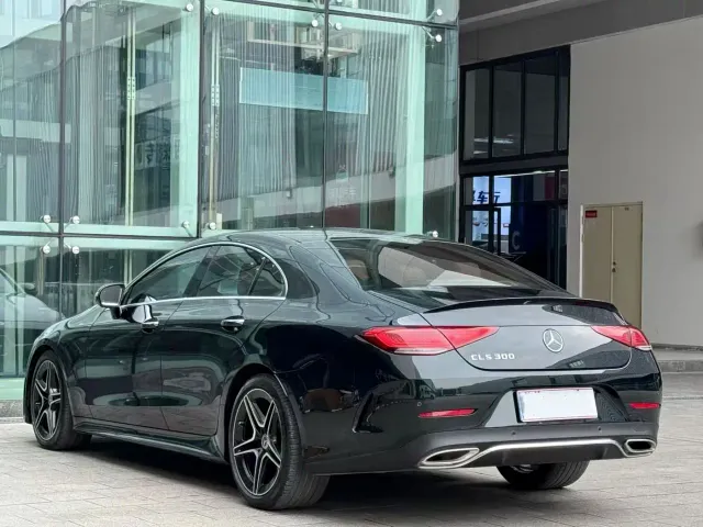 Mercedes-Benz CLS-Class — Фото автомобиля 9