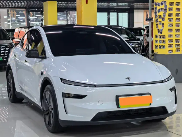 Tesla Model Y — Фото автомобиля 3