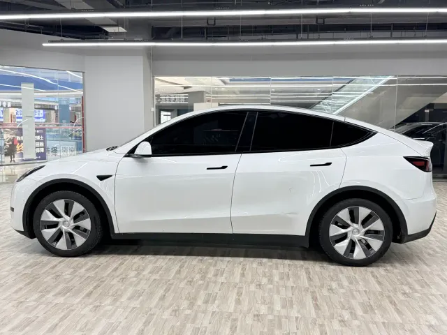 Tesla Model Y — Фото автомобиля 2