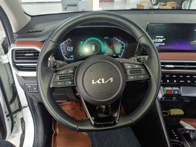 Kia Sportage — Фото автомобиля 10