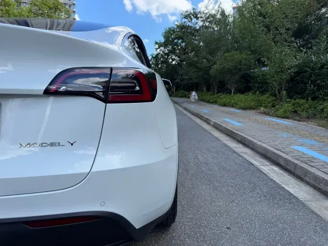 Tesla Model Y — Фото автомобиля 9