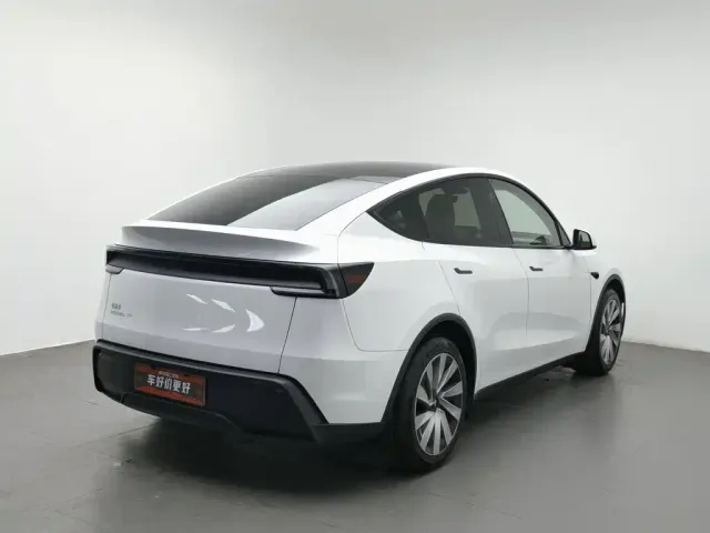 Tesla Model Y — Фото автомобиля 2
