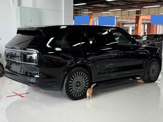ZEEKR Zeekr 9X 2025 model Ultra Edition 70kWh — Фото автомобиля 20