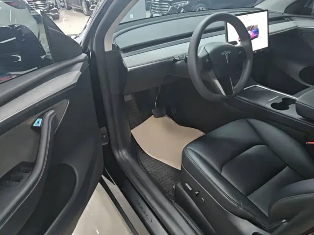 Tesla Model Y — Фото автомобиля 14
