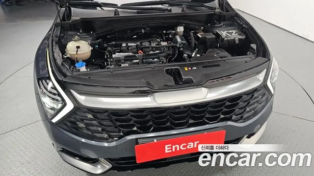 Kia Sportage Generation 5 — Фото автомобиля 6