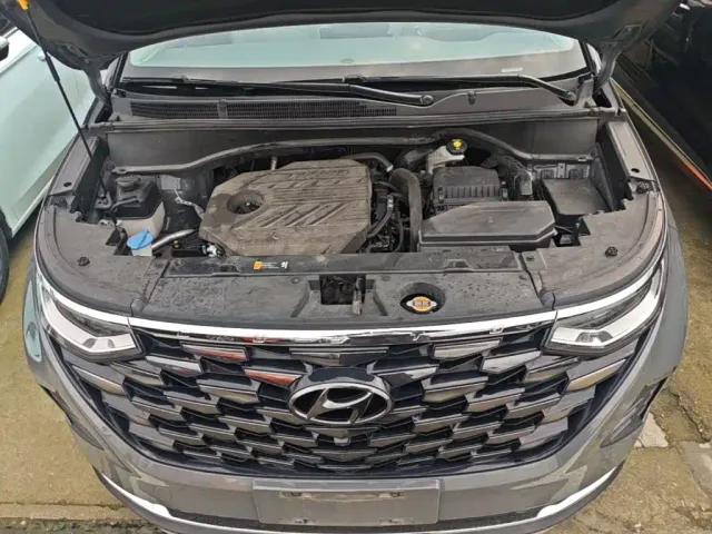 Hyundai Custo — Фото автомобиля 19