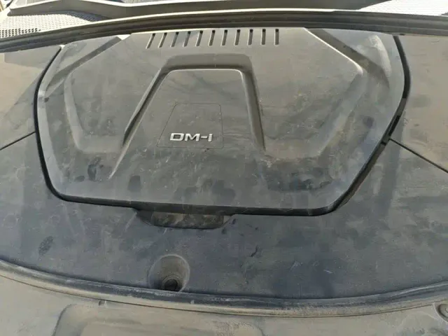 BYD Song PLUS — Фото автомобиля 15