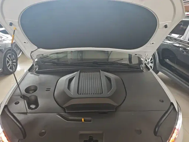 BYD Qin PLUS — Фото автомобиля 19