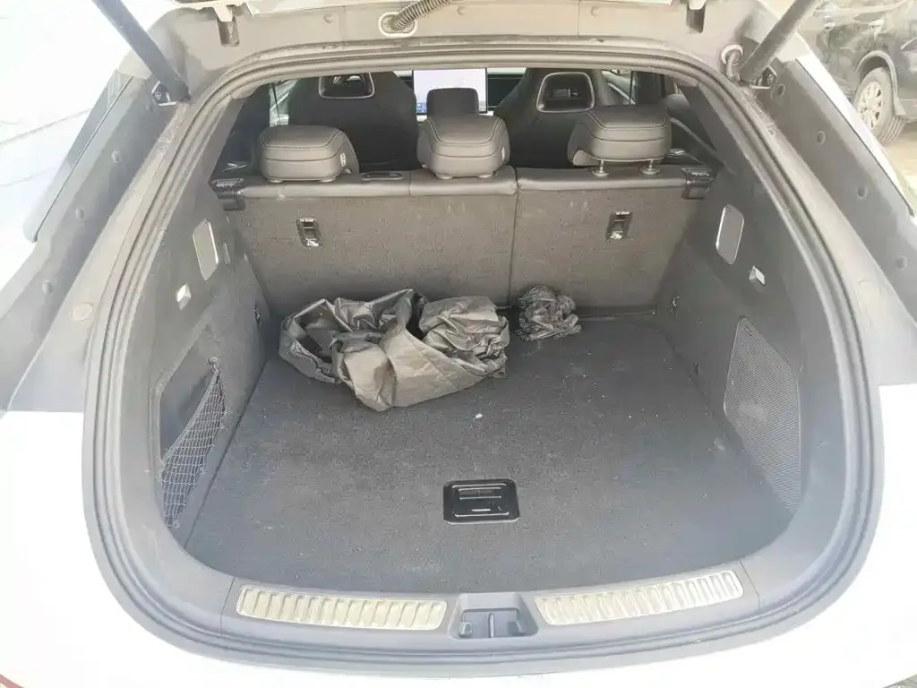 BYD Sealion 07 EV 2024 610 Long Range Edition — Фото автомобиля 13