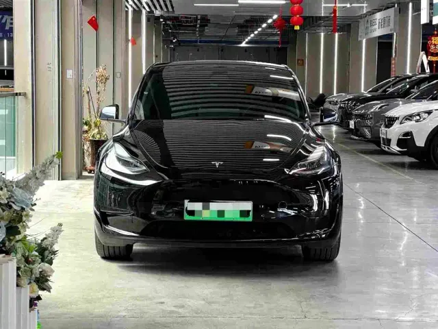 Tesla Model Y — Фото автомобиля 2