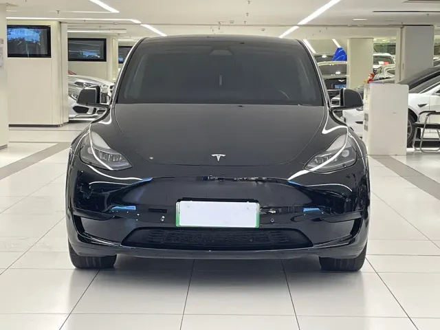 Tesla Model Y — Фото автомобиля 2