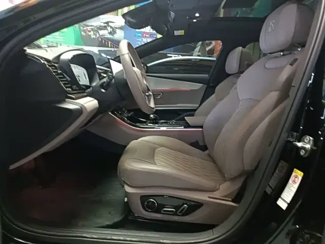 BYD Han — Фото автомобиля 14