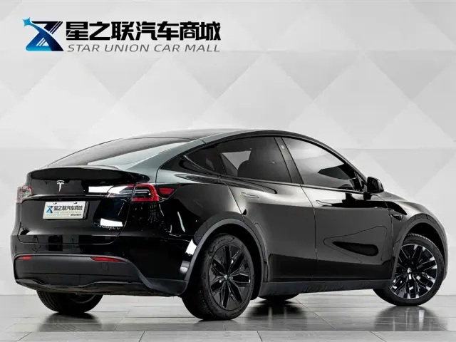 Tesla Model Y — Фото автомобиля 7