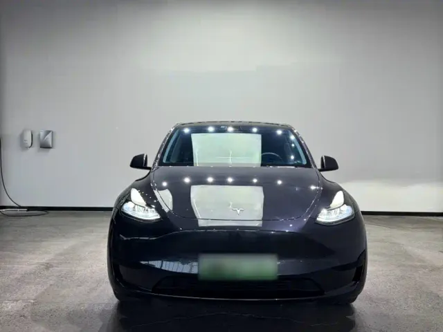 Tesla Model Y — Фото автомобиля 4