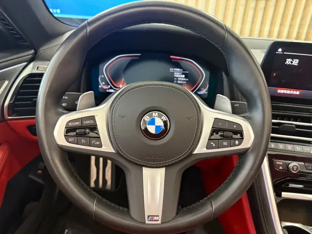 BMW 8 Series — Фото автомобиля 14