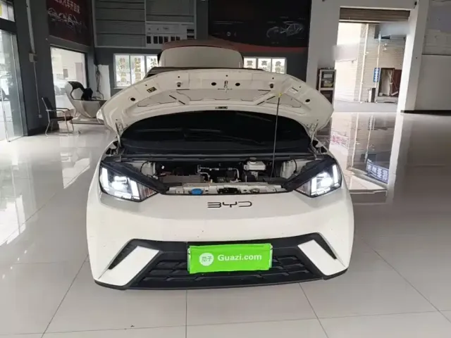 BYD Seagull — Фото автомобиля 19
